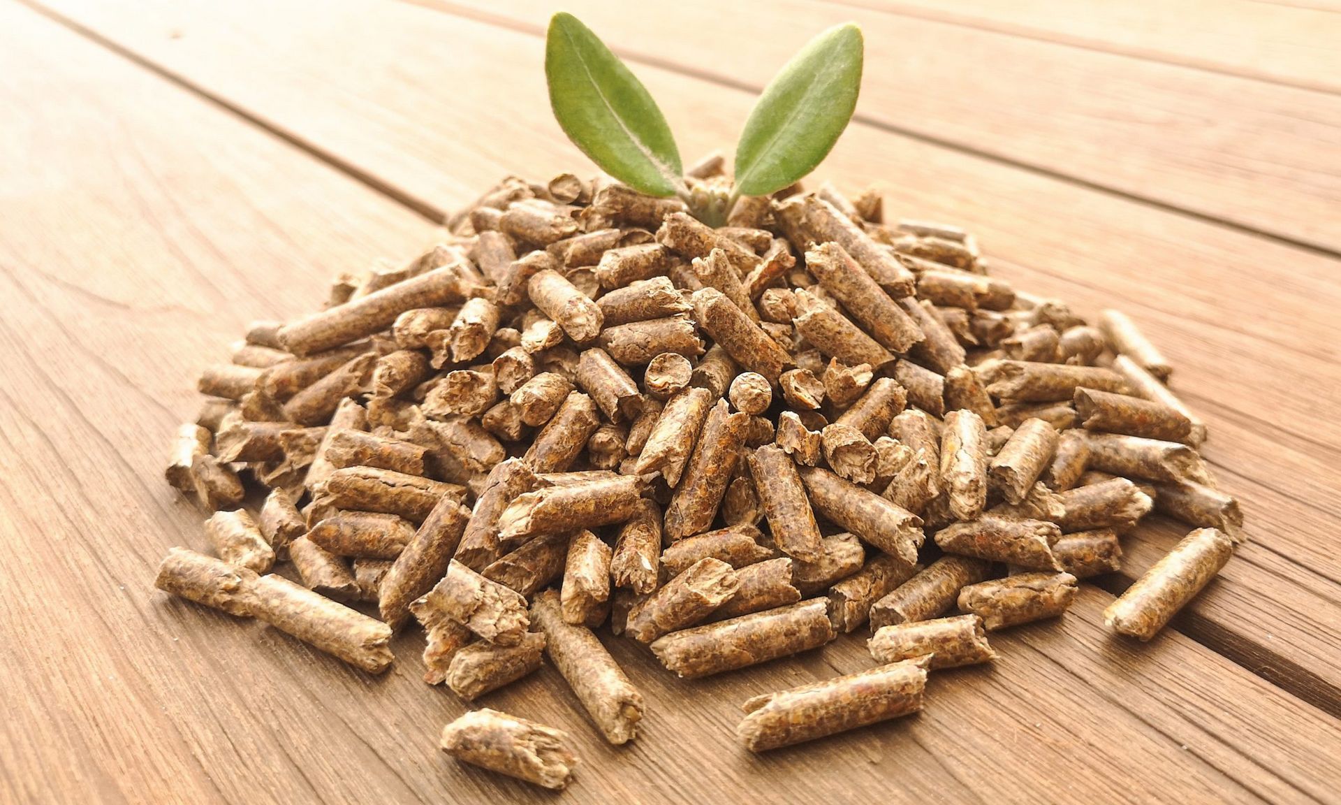 Pellets